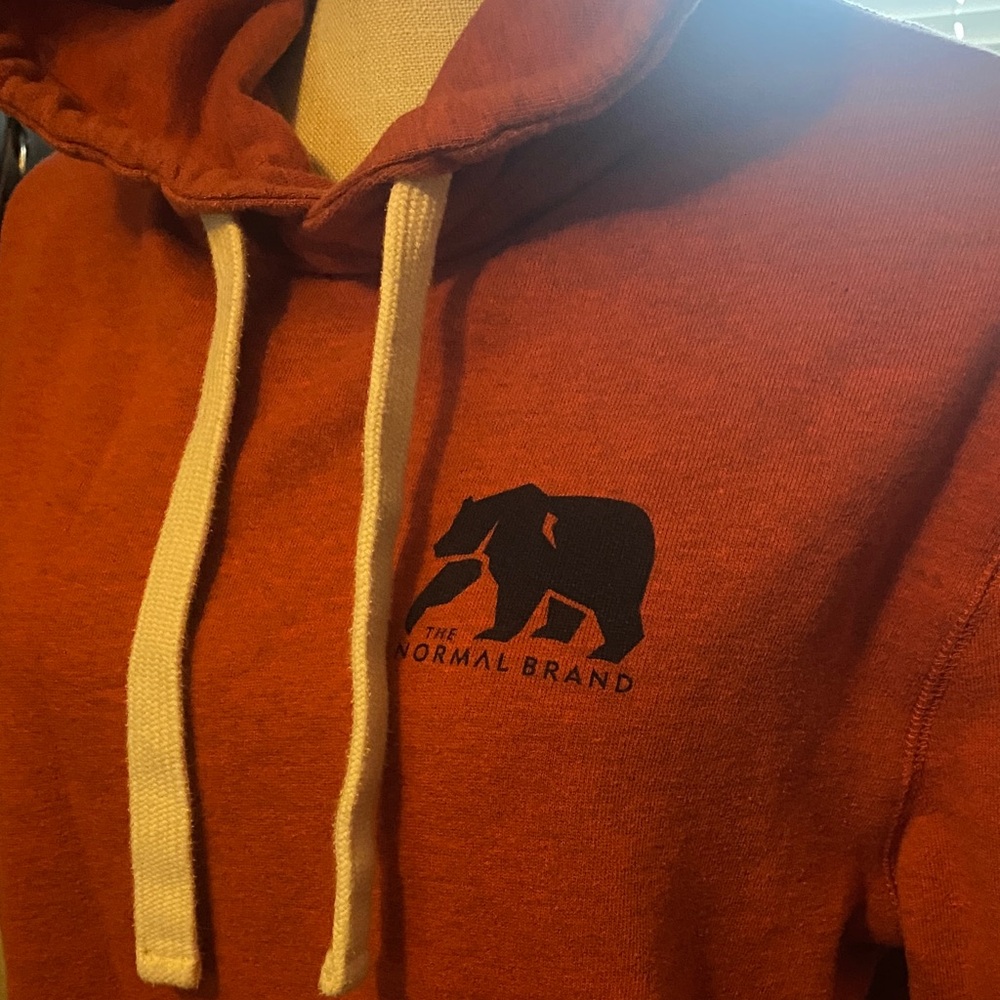 The Normal Brand Men's Rust Hoodie